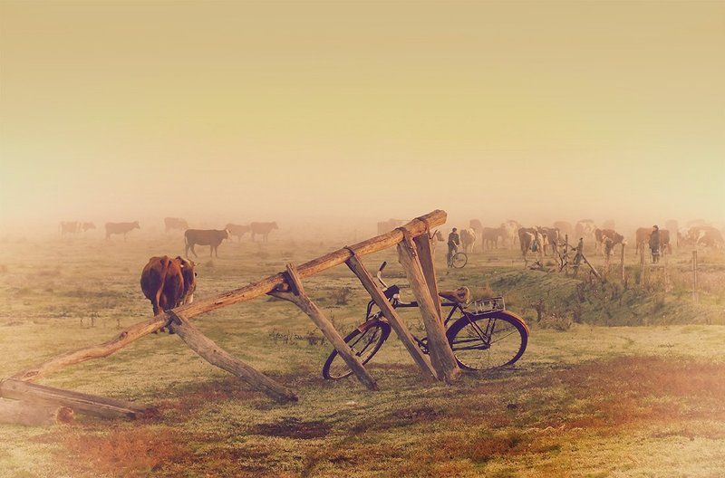 День начинается...photo preview