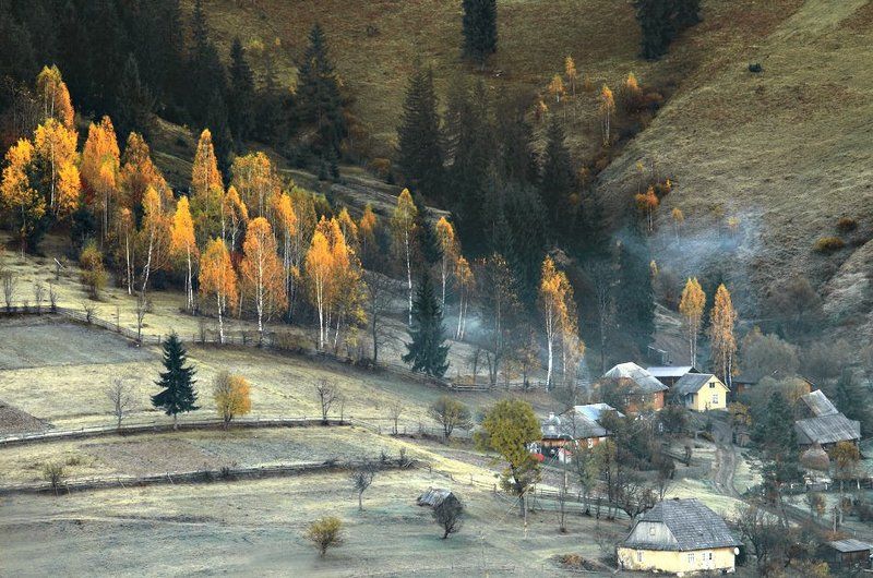 последнее дыхание осени...photo preview