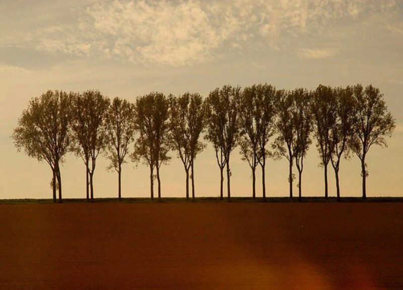 Alsace ( France ) фото превью