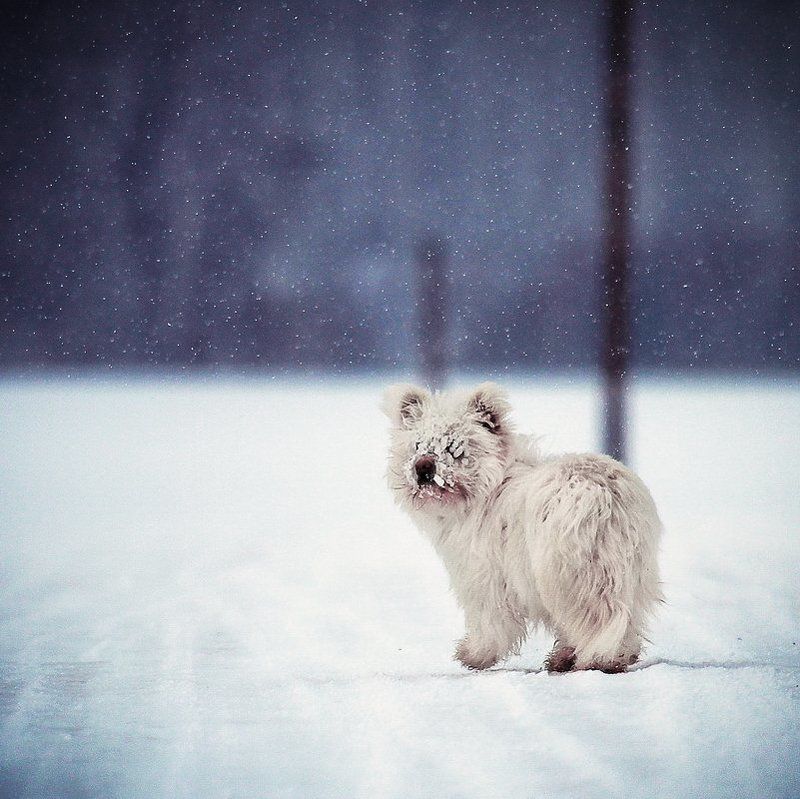 Уходя...photo preview