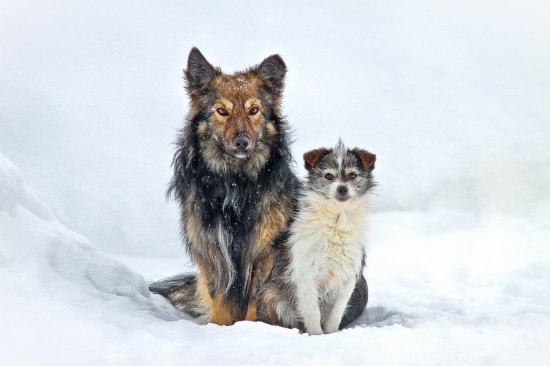 Неравный бракphoto preview