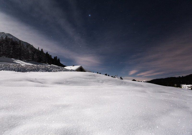 In the Moonlightphoto preview