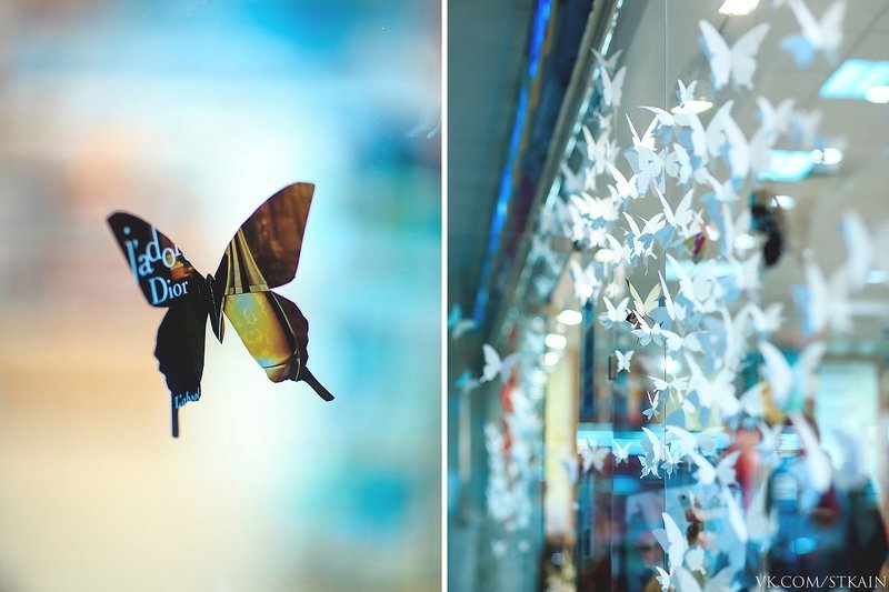 Valentine\'s dayphoto preview