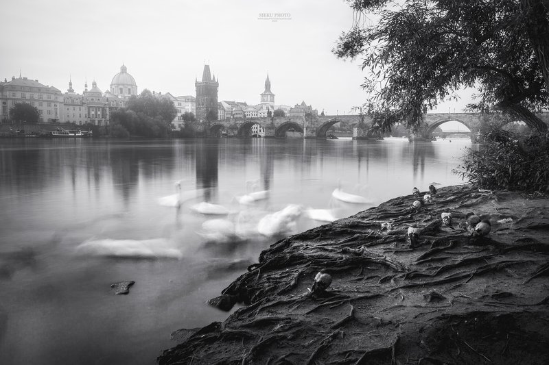 Prague photo preview