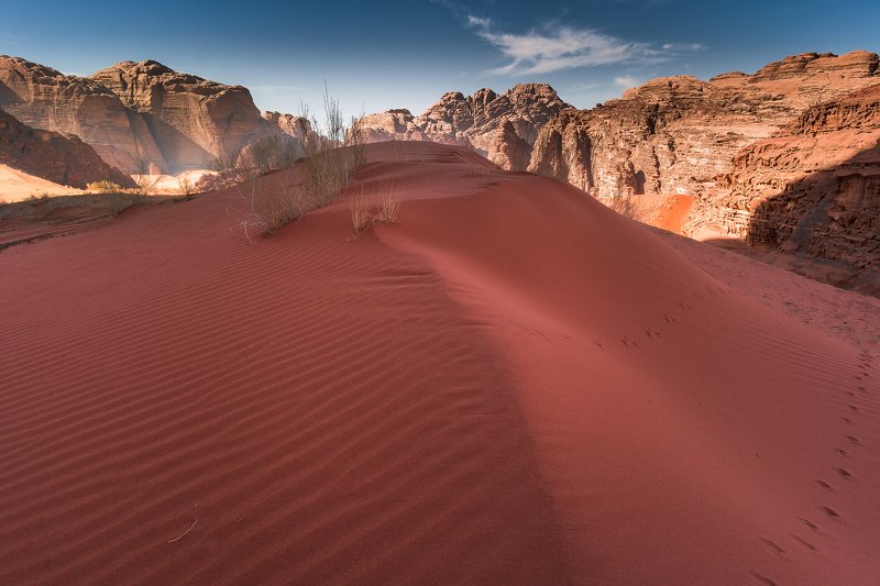 red, sand, dune, wadi rum, desert, summer Zig Zagphoto preview