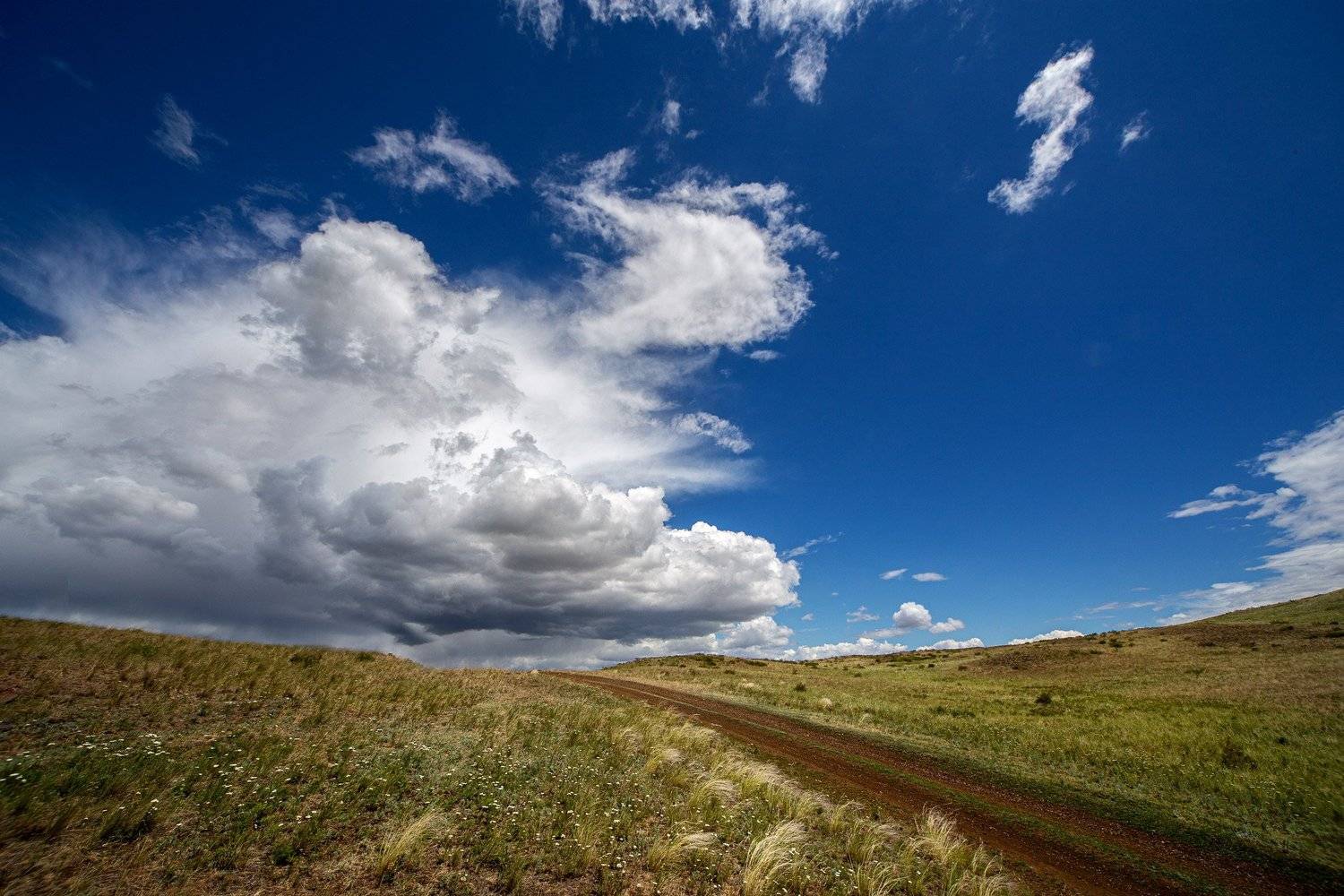 ***. Автор: Качурин Алексей южный урал,оренбургская область, орск, новотроицк,, Качурин Алексей