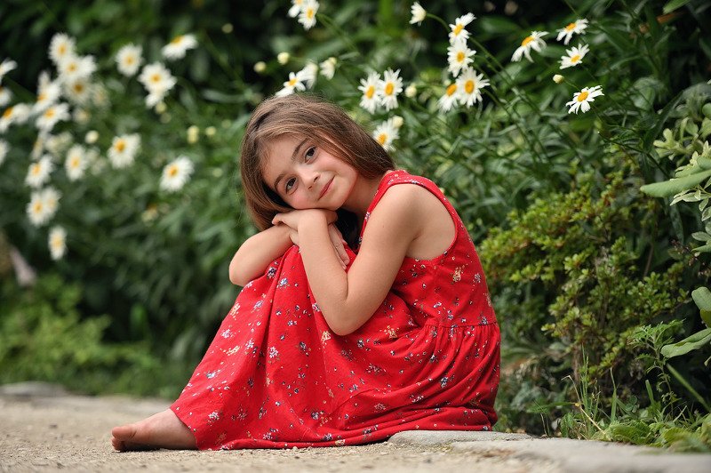 Ромашкаphoto preview