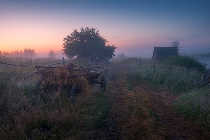 туман, утро, деревня, телега, дорога, рассвет Туманная дорогаphoto preview