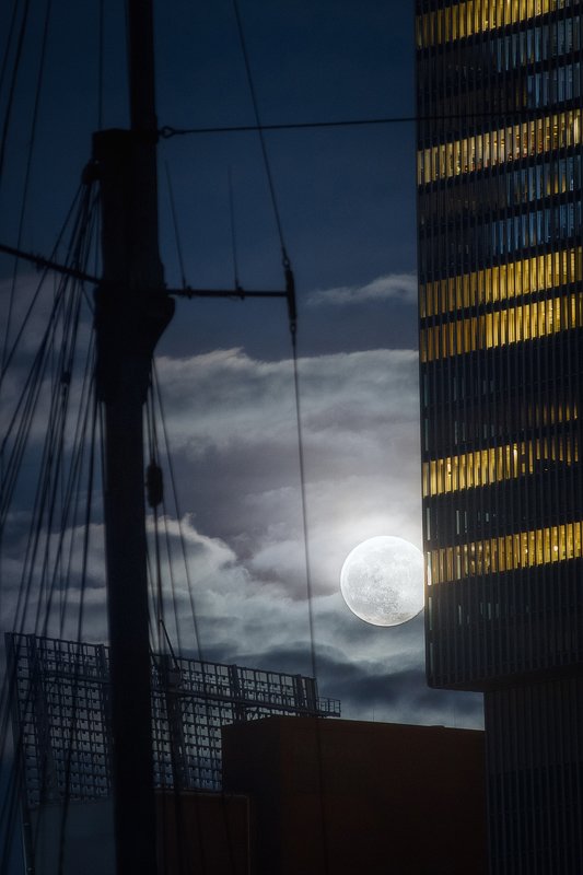 Rotterdam фото превью