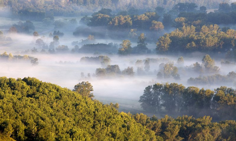 природа, пейзаж, утро, туман, урал, южный_урал Туман в долинеphoto preview
