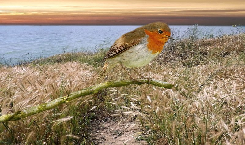 одесса ХАДЖИБЕЙphoto preview