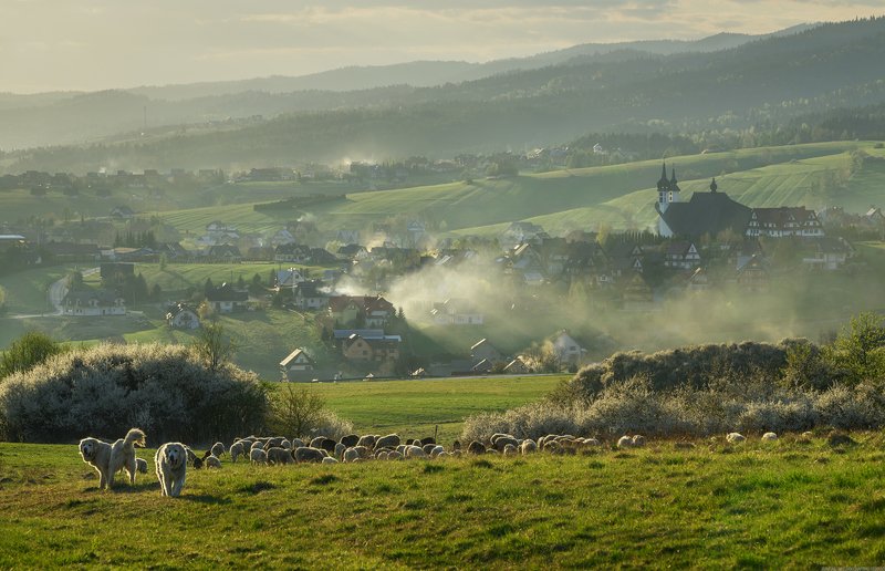 #landscape #panoramic #photo #nikon #poland #adventure #sunset  #mountains #grass #agricultural #field #hill #nature Grazingphoto preview