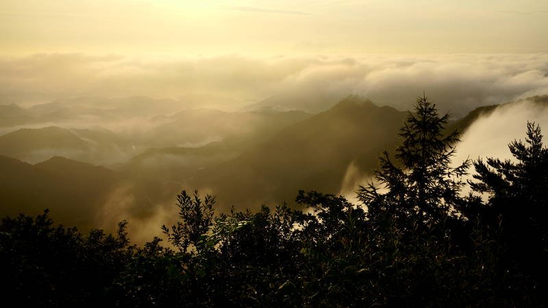 south korea, gangwondo, summer, mountain, nature, morning, rime, fog, forest, mist, clouds, sunlight, Clouds in the mountainphoto preview