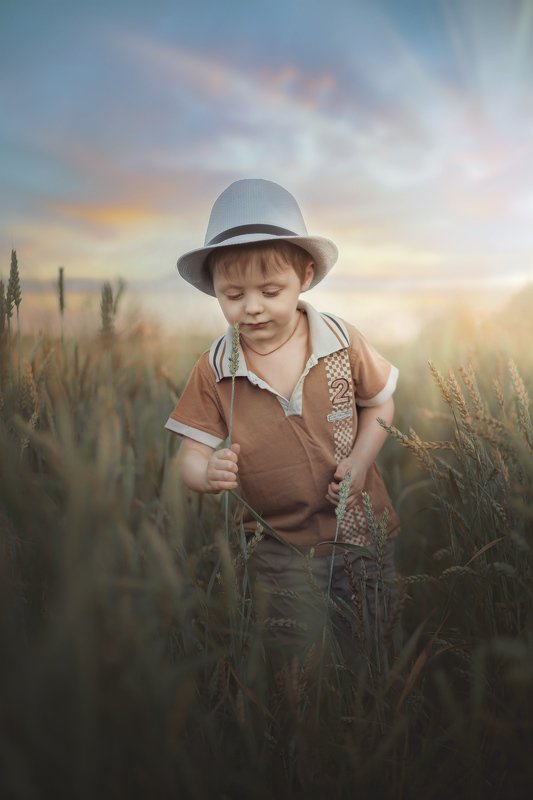 дети, детство, детское фото, поле ***photo preview