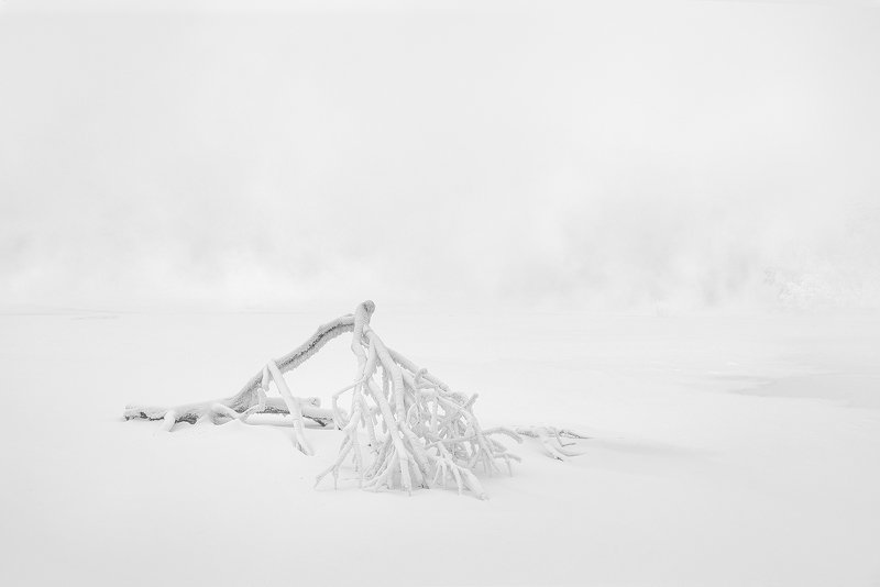 ветка, минимализм, пейзаж, природа, чб, черно-белое, белый, светлый, зима, мороз, холод, лед, река, туман, иней, снег, город, красноярск, остров, отдыха, енисей, сибирь Белая стынь январяphoto preview