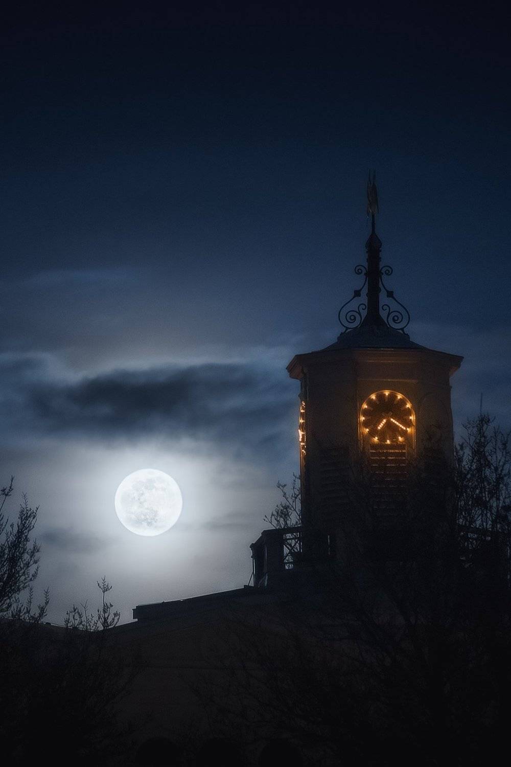 Rotterdam. Автор: Иван Курмышов , Иван Курмышов