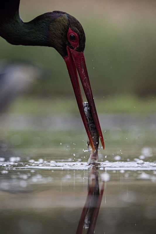 Last momentphoto preview