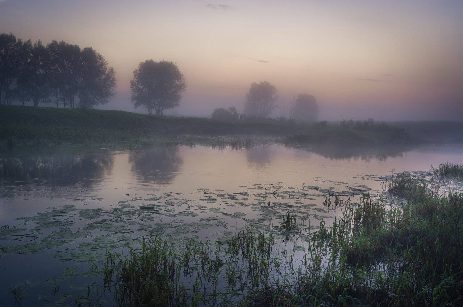 Летние туманы. Автор: Александр Кыров лето, пейзаж, рассвет, природа, утро, туман, Александр Кыров