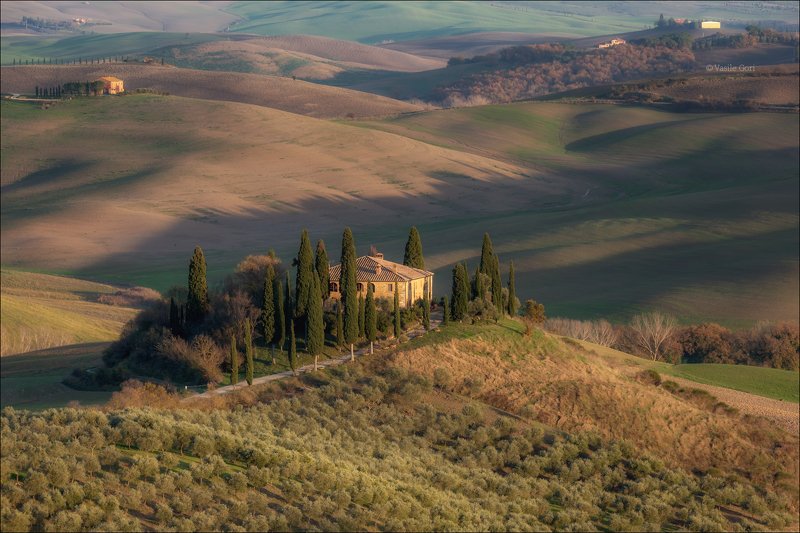 italy,san quirico d \\\' orcia,italia,вечер,италия,тоскана,кипарис,toscana,осень,tuscany,cipressi,belvedere ТЁПЛЫЙ СВЕТphoto preview