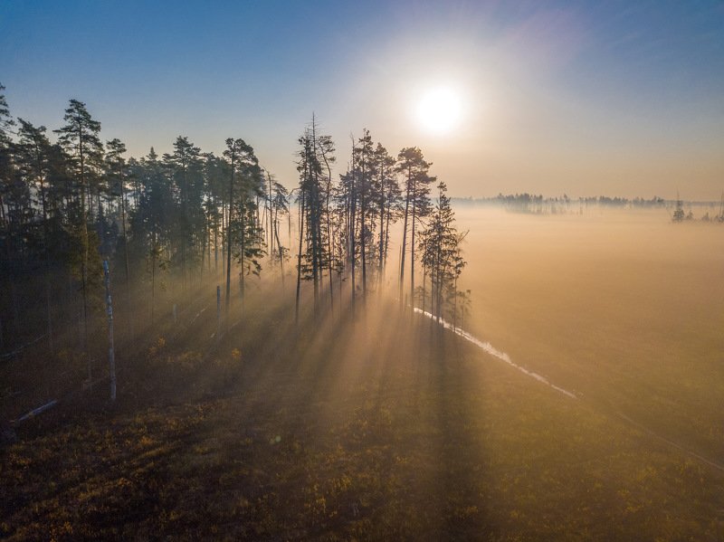 Туманное утроphoto preview