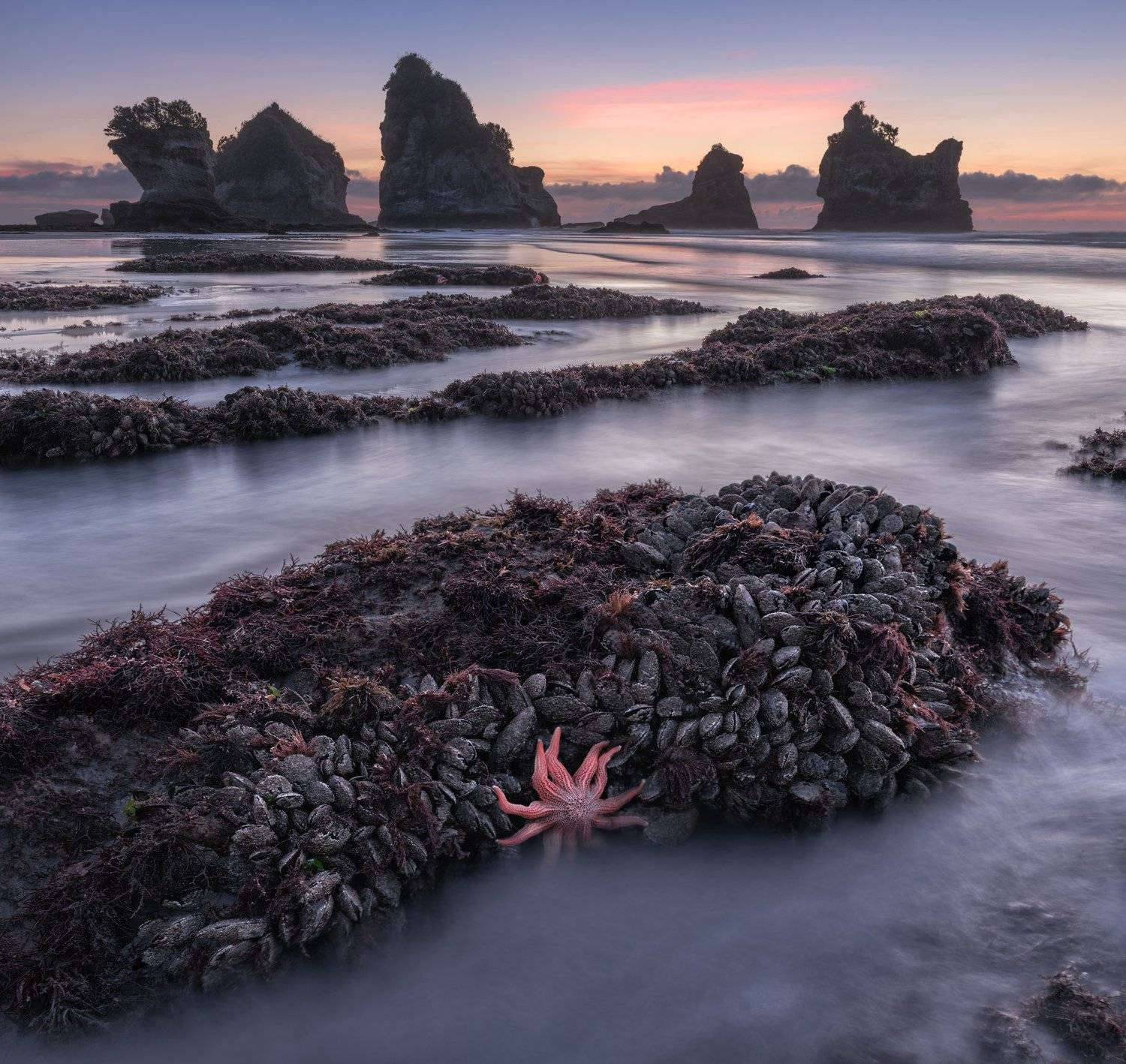 новая зеландия, new zealand, Сергей Алещенко
