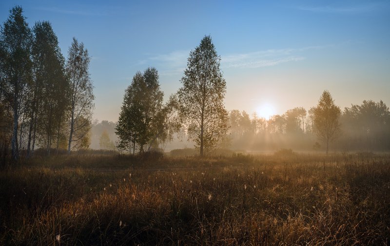 луг, осень, октябрь, утро, рассвет, туман Лепота...photo preview