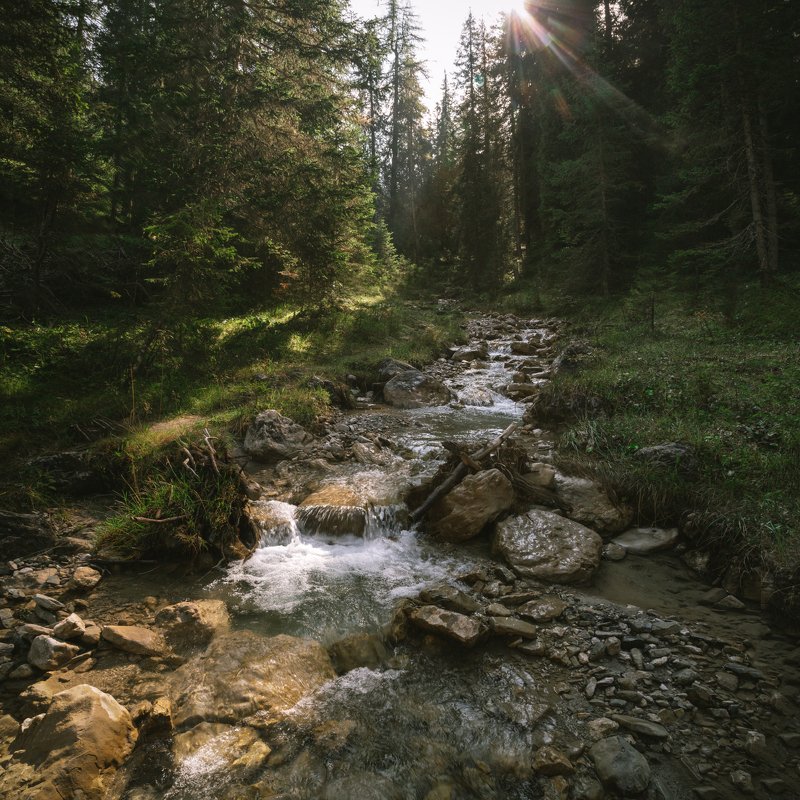 ручей; горы; лес Лесной потокphoto preview