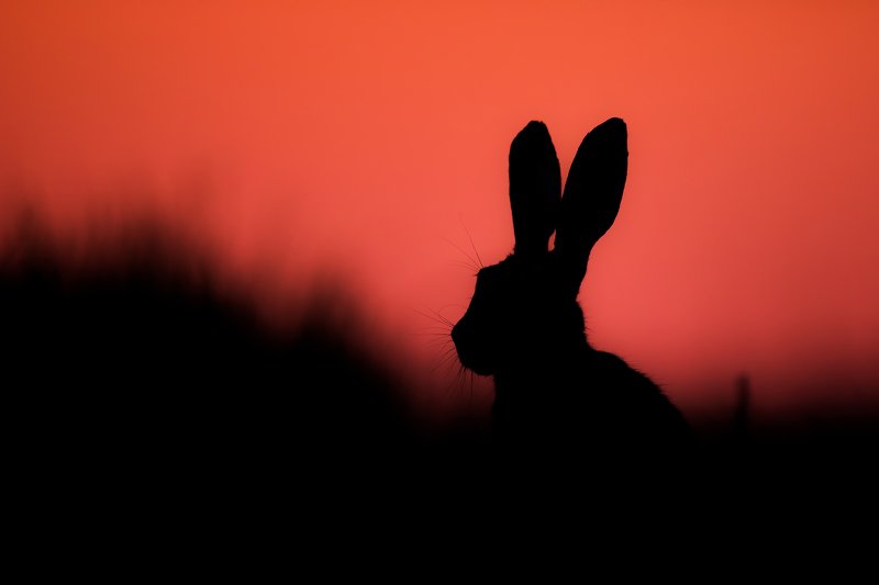 After sunset фото превью