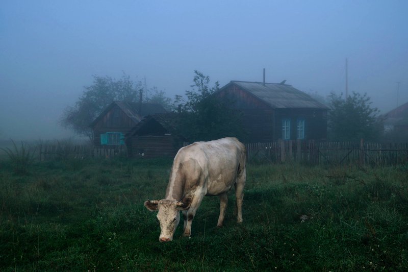 туман, утро Туманphoto preview