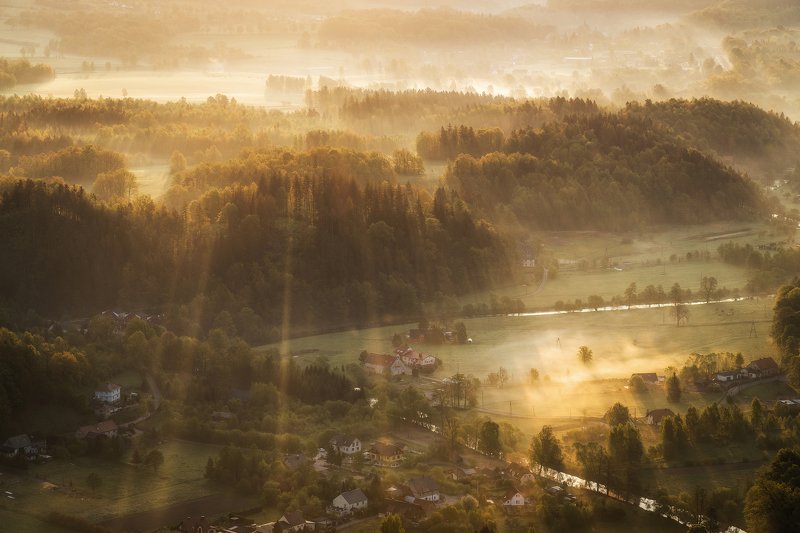 sun, rays, fog, summer, morning Raysphoto preview