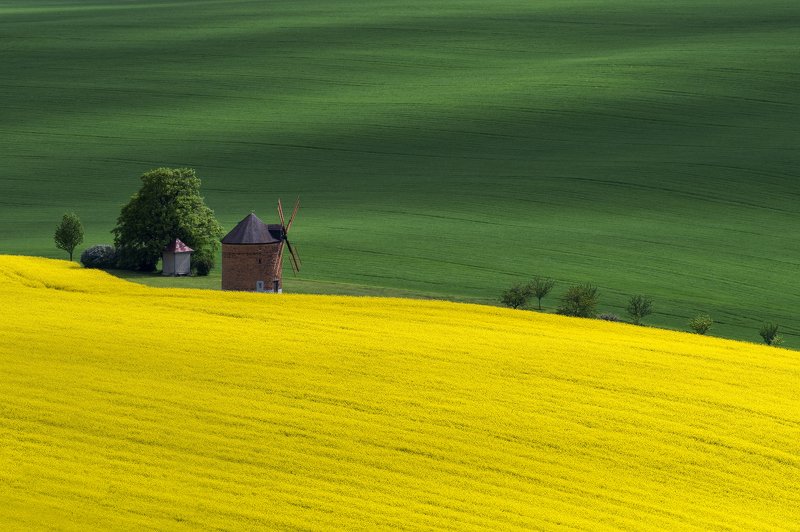 landscape, moravia, windmill, green, yellow, Windmillphoto preview
