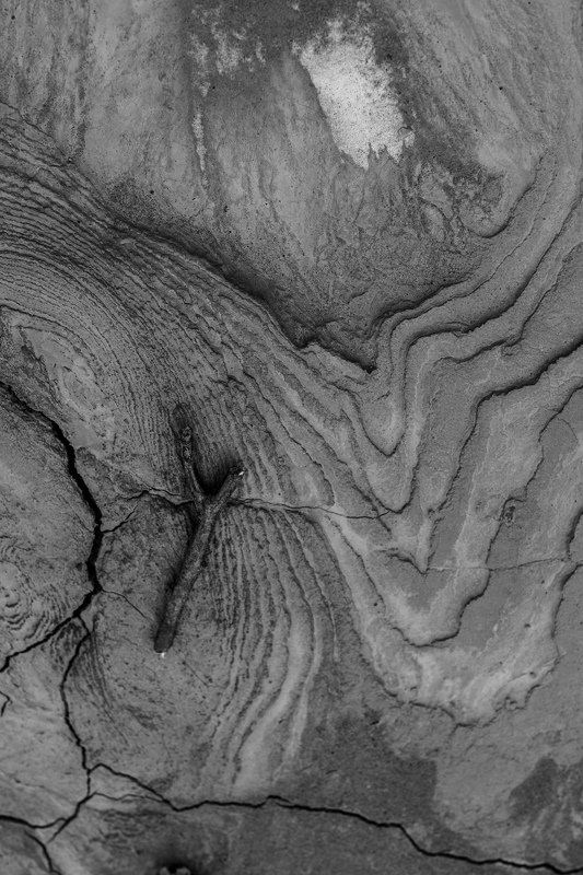 nature ,bw , sand ,  Yphoto preview