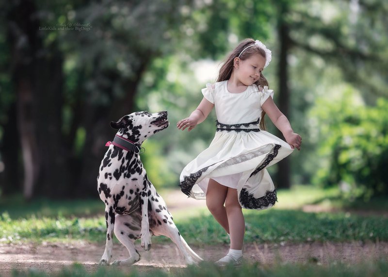 National Dalmatian Dancephoto preview