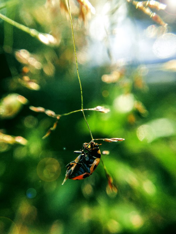 На рассветеphoto preview