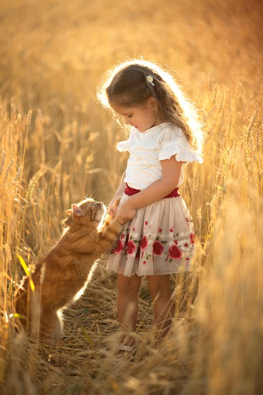 дети, девочка, детский портрет, детский фотограф, детская фотография, топ фотограф, семейный фотограф, пшеница, лето, кот В  пшеницеphoto preview