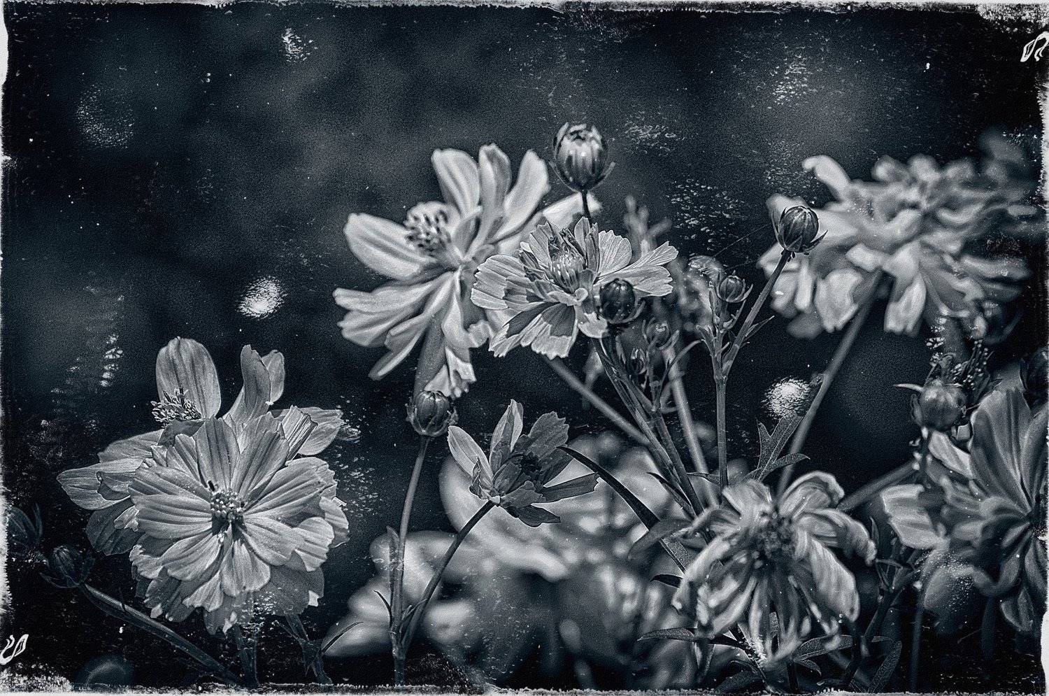 ***. Автор: Viktor , Viktor