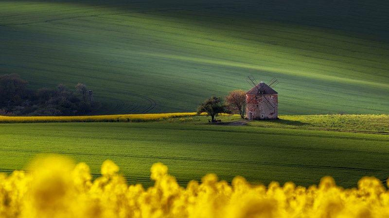 Moravian dreamphoto preview