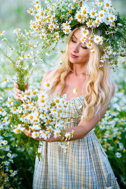 Ромашкиphoto preview