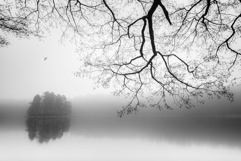 Хоккуphoto preview