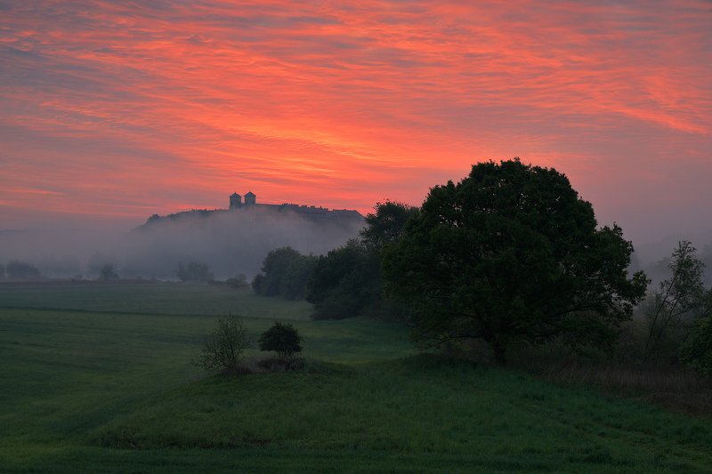 red, sky, cloud, mist, sunrise, morning, tree, monastery, church, tyniec, Burning skyphoto preview