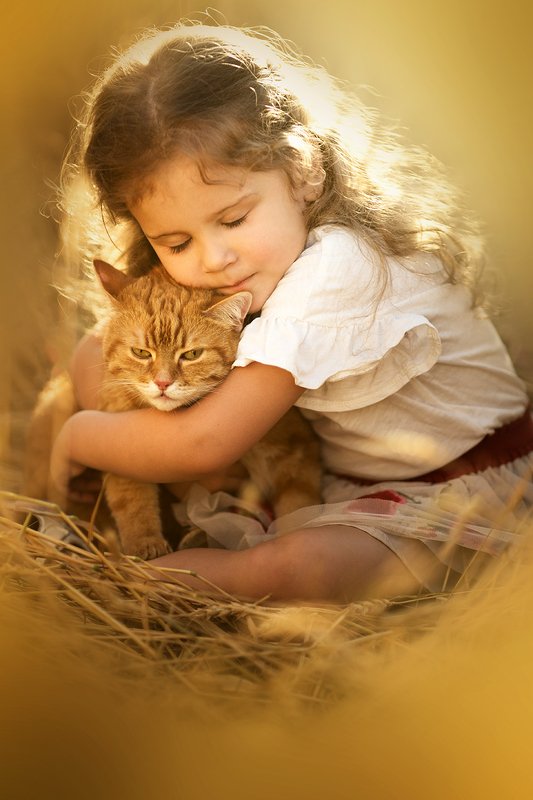 дети, девочка, детский портрет, детский фотограф, детская фотография, топ фотограф, семейный фотограф, пшеница, лето, кот В пшенице photo preview