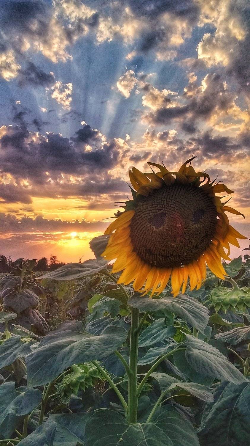 , Павел Сагайдак