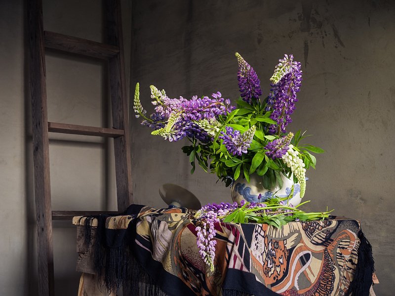 люпины Люпиныphoto preview