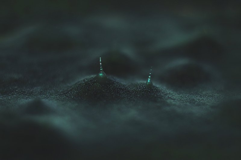 Огурецphoto preview