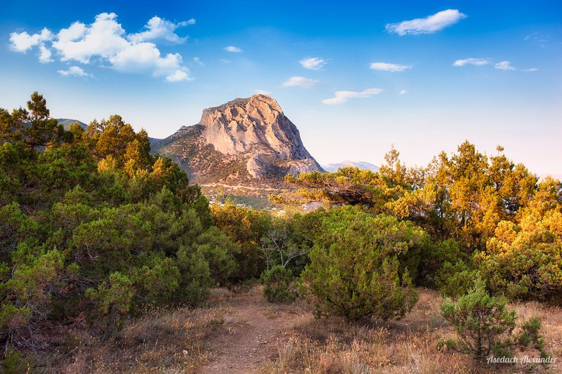 Новый Светphoto preview