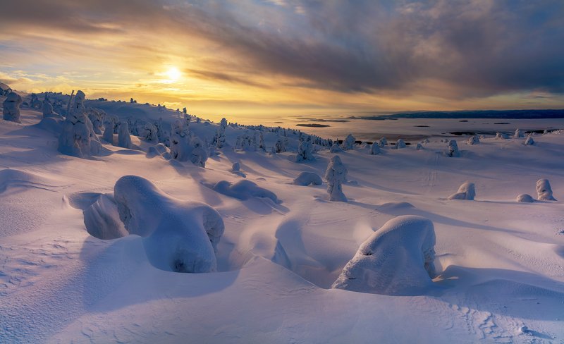 Северное утроphoto preview