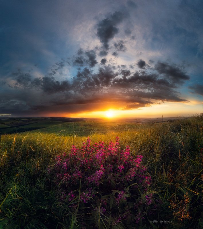 Распустилось лето...photo preview