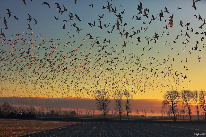 франция,mont saint-michel,france Про свет и тень..photo preview