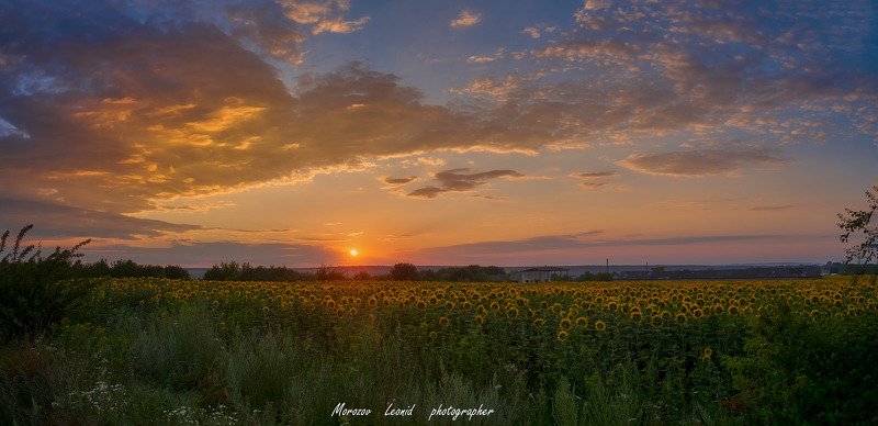 #nature, #туман, #лес, #oсень, #украина, #карпаты, #пейзаж, #закат, #туман, #солнце, #свет, #mountain range, #mountains, #туризм, #лес, #nature, #природа, ***photo preview