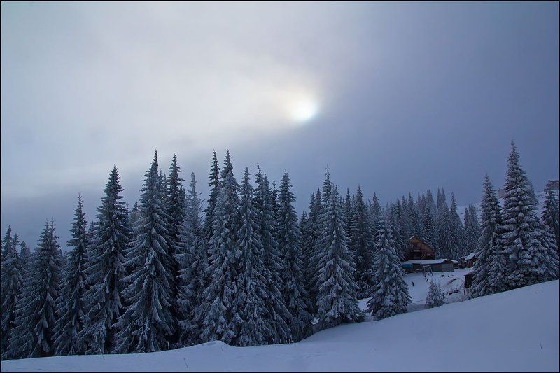 Туманный флёрphoto preview